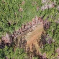 40 - Acres for Sale Just Outside of Brookhaven