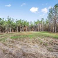 40 - Acres for Sale Just Outside of Brookhaven images 2