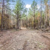 40 - Acres for Sale Just Outside of Brookhaven images 3