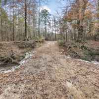 40 - Acres for Sale Just Outside of Brookhaven images 4