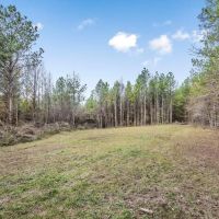40 - Acres for Sale Just Outside of Brookhaven images 5