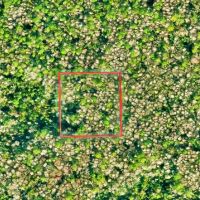 2.5 Acres in University Highlands 99 Down 177 per Month images 2