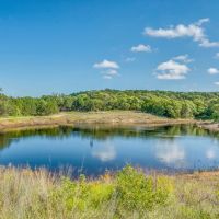450 -Acres Tract 2 CR 407 Cross Plains TX 76443