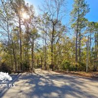 Plantation Pointe images 2