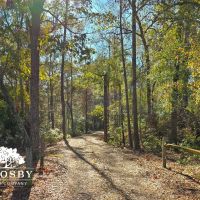 Plantation Pointe images 4