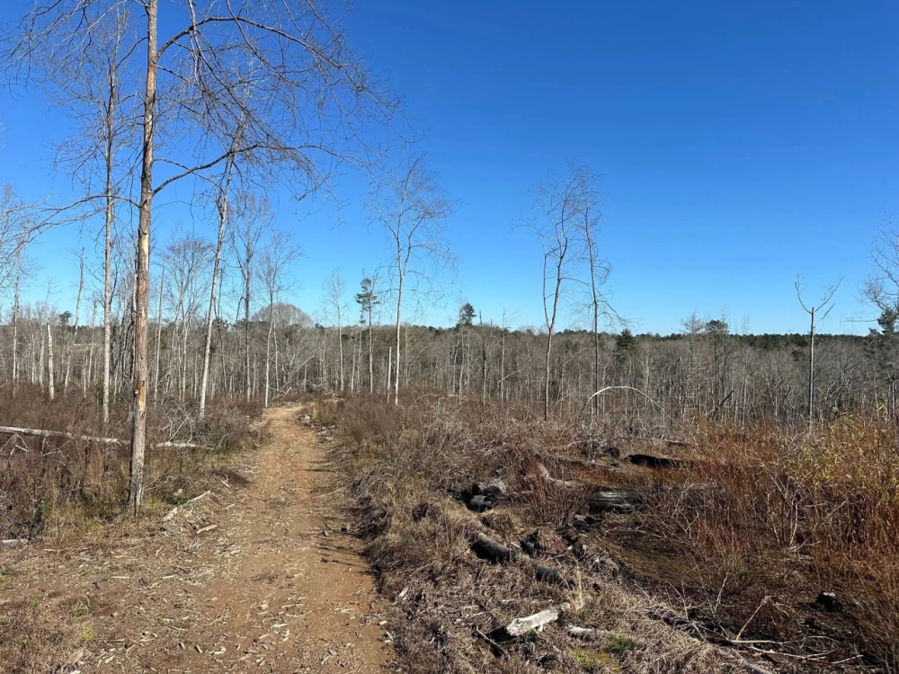 40 Acres Copiah County MS featured image