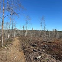 40 Acres Copiah County MS