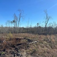 40 Acres Copiah County MS images 3