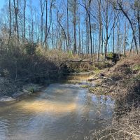 40 Acres Copiah County MS images 4