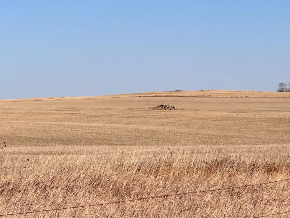 Perkins Farm and Hunt featured image