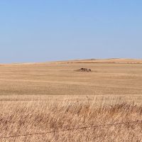 Perkins Farm and Hunt