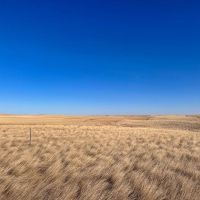 Perkins Farm and Hunt images 4