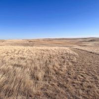 Perkins Farm and Hunt images 5
