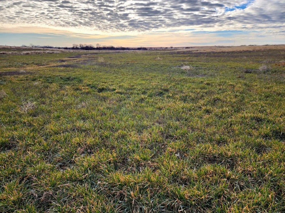 Productive Cropland with Potential Income Tons of Opportunities featured image
