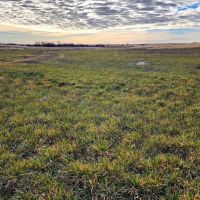 Productive Cropland with Potential Income Tons of Opportunities