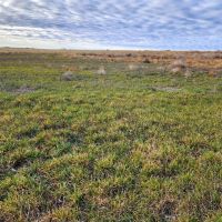 Productive Cropland with Potential Income Tons of Opportunities images 2