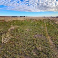 Productive Cropland with Potential Income Tons of Opportunities images 3