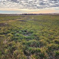 Productive Cropland with Potential Income Tons of Opportunities images 4