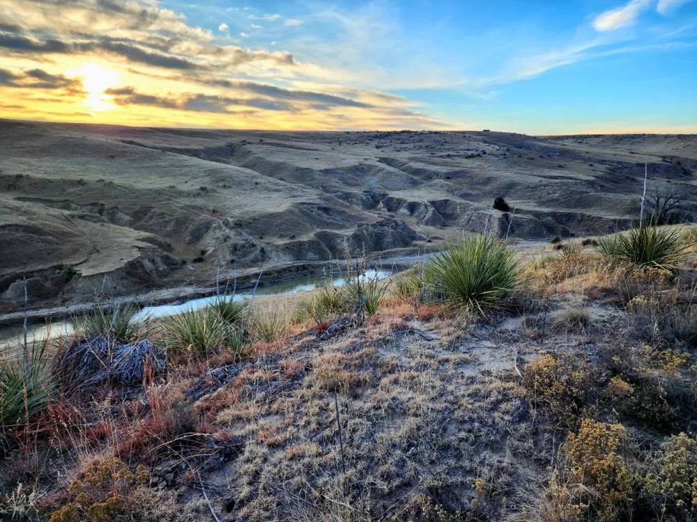 Canyon Pasture with Multiple Water Sources Recreational Opportunities featured image