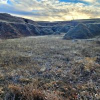 Canyon Pasture with Multiple Water Sources Recreational Opportunities images 4