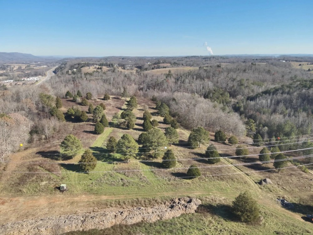 46 Acres in Rhea County TN featured image