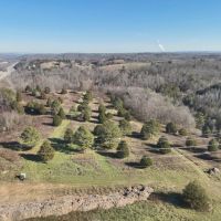 46 Acres in Rhea County TN