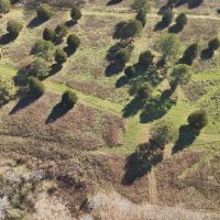 46 Acres in Rhea County TN images 2
