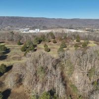 46 Acres in Rhea County TN images 3