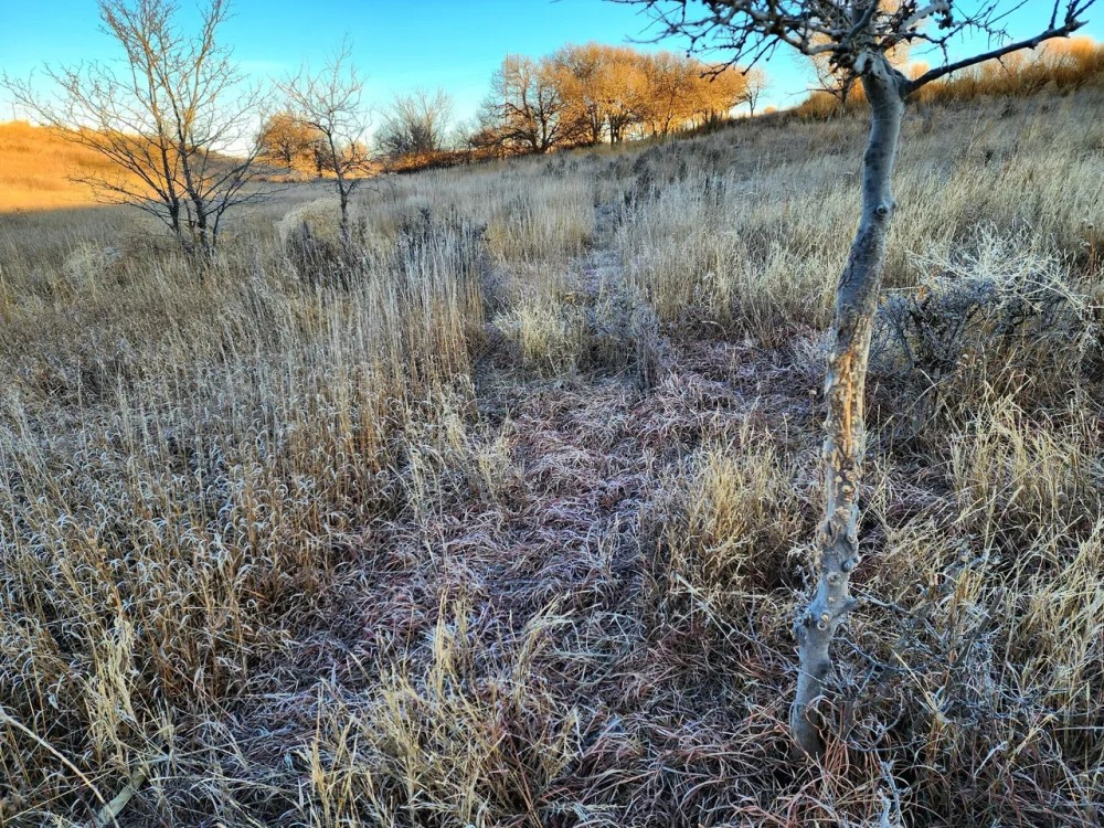 Half Section in SW Graham County with Great Income Recreational Opportunities featured image