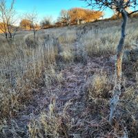 Half Section in SW Graham County with Great Income Recreational Opportunities
