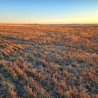 Half Section in SW Graham County with Great Income Recreational Opportunities images 2