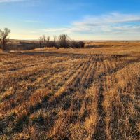 Half Section in SW Graham County with Great Income Recreational Opportunities images 3