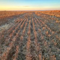 Half Section in SW Graham County with Great Income Recreational Opportunities images 4