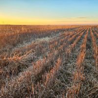 Half Section in SW Graham County with Great Income Recreational Opportunities images 5