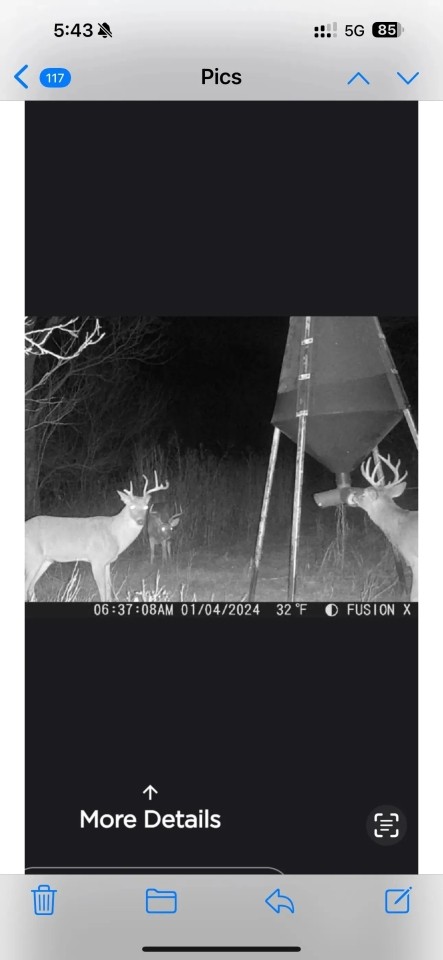KS - Sumner 117 acres - featured image
