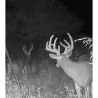 KS - Sumner 117 acres - images 2