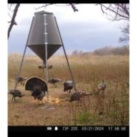 KS - Sumner 117 acres - images 3