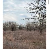 KS - Sumner 117 acres - images 4
