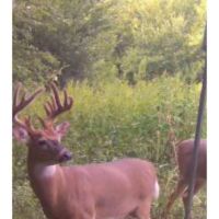 KS - Sumner 117 acres - images 5