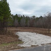 26 Acres in Benton County MS images 2