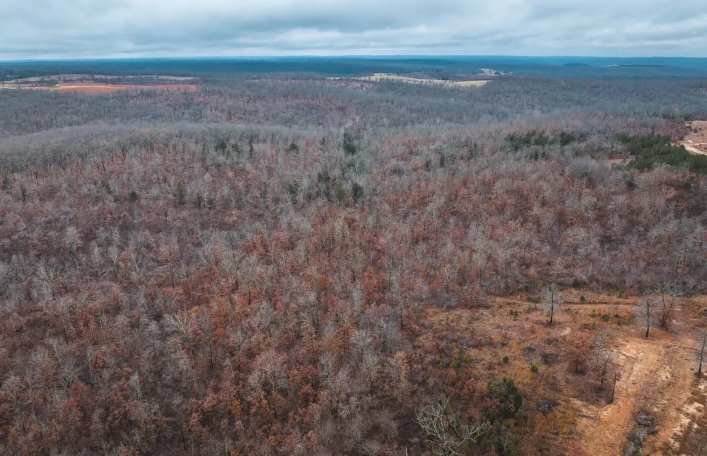 Ray Hicks Road Tract 1 featured image
