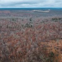 Ray Hicks Road Tract 1