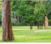 Perry State Park 11,000-acres Deer Hunting Land in Jefferson, KS images 4