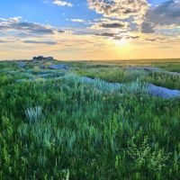 Potential Building Site With Pasture And Amazing Views