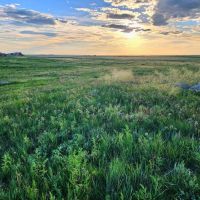 Potential Building Site With Pasture And Amazing Views images 2