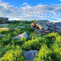 Potential Building Site With Pasture And Amazing Views images 3
