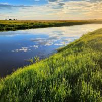 Potential Building Site With Pasture And Amazing Views images 4