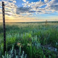 Potential Building Site With Pasture And Amazing Views images 5