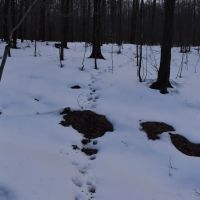 Harris Hill Lot 3 images 5