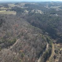 16.82 Acres in Rhea County TN images 5